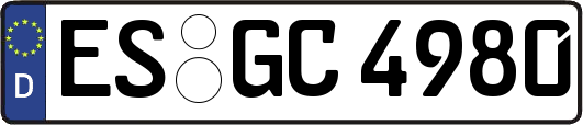 ES-GC4980