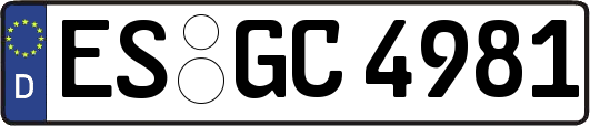 ES-GC4981