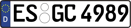 ES-GC4989