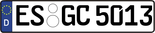ES-GC5013