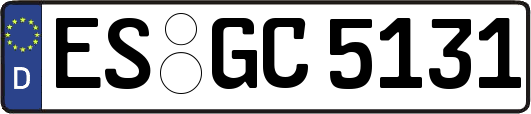 ES-GC5131