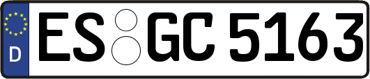 ES-GC5163