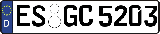 ES-GC5203