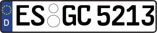 ES-GC5213