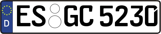 ES-GC5230