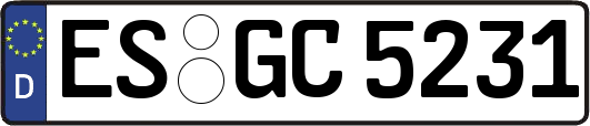 ES-GC5231