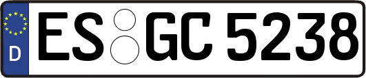 ES-GC5238