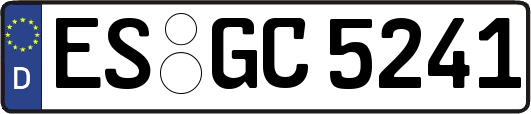 ES-GC5241