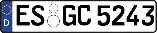 ES-GC5243