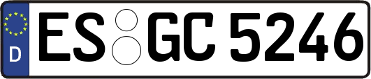 ES-GC5246