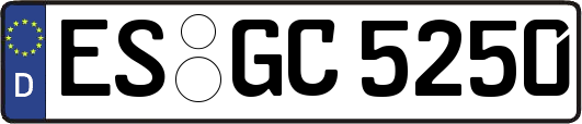 ES-GC5250