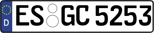 ES-GC5253