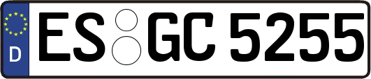 ES-GC5255