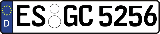 ES-GC5256