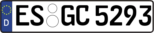 ES-GC5293