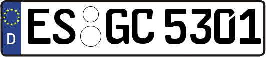 ES-GC5301