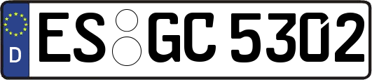 ES-GC5302