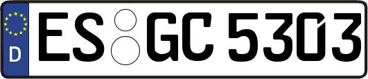 ES-GC5303