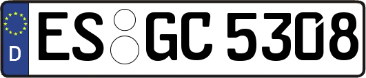 ES-GC5308