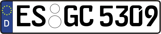 ES-GC5309