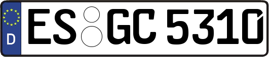 ES-GC5310