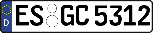 ES-GC5312