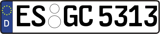 ES-GC5313
