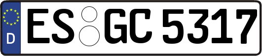 ES-GC5317