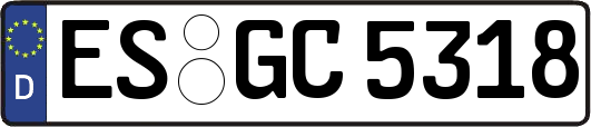 ES-GC5318