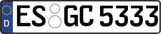 ES-GC5333