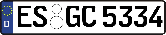 ES-GC5334