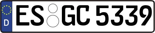 ES-GC5339