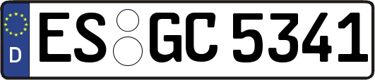 ES-GC5341
