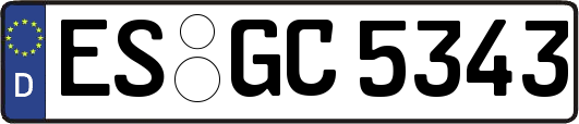 ES-GC5343