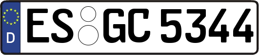 ES-GC5344