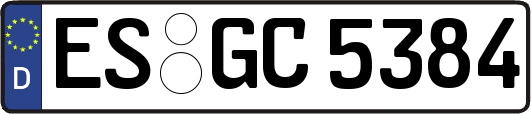 ES-GC5384