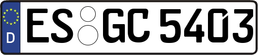 ES-GC5403