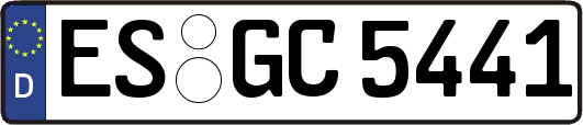 ES-GC5441