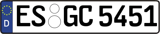 ES-GC5451