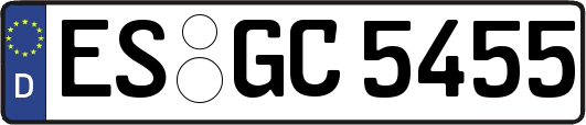 ES-GC5455