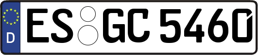 ES-GC5460