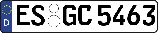 ES-GC5463