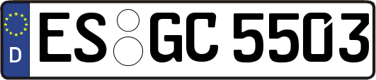 ES-GC5503