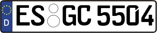 ES-GC5504