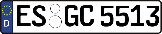 ES-GC5513