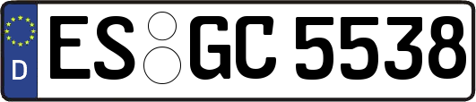 ES-GC5538
