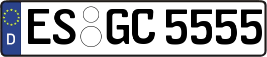 ES-GC5555