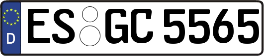 ES-GC5565