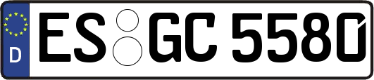 ES-GC5580