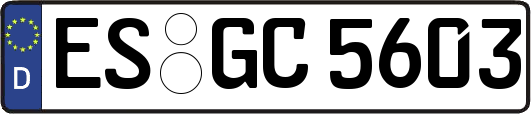 ES-GC5603